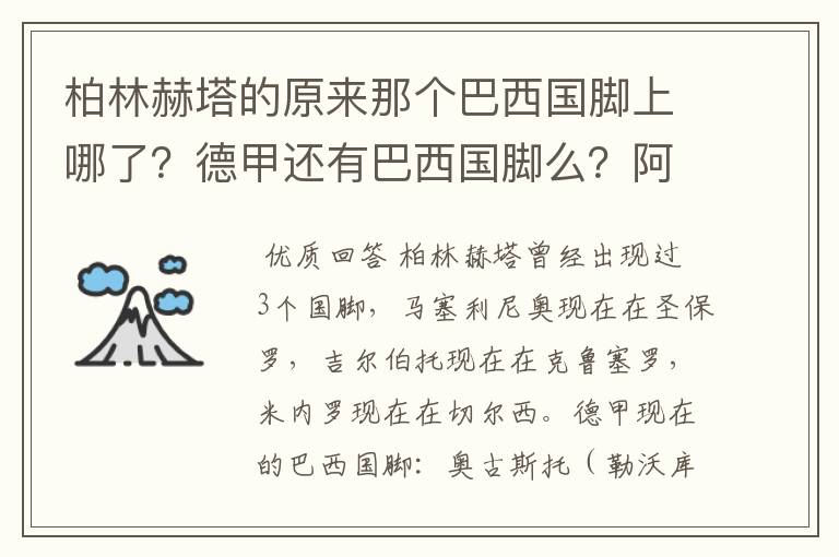 柏林赫塔的原来那个巴西国脚上哪了?德甲还有巴西国脚么?阿根廷国脚呢?