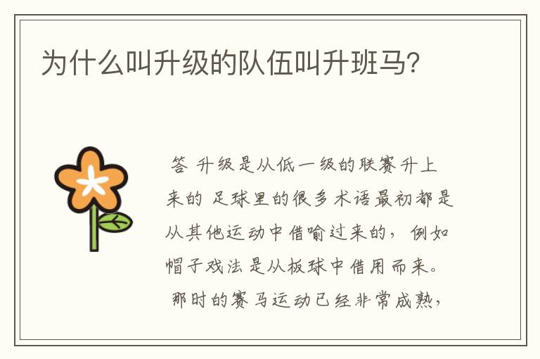 为什么叫升级的队伍叫升班马?