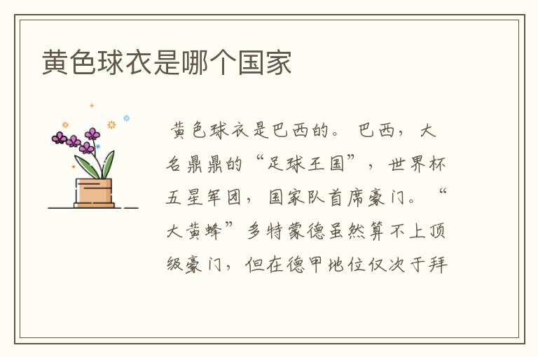 黄色球衣是哪个国家