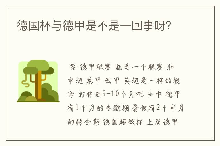 德国杯与德甲是不是一回事呀?