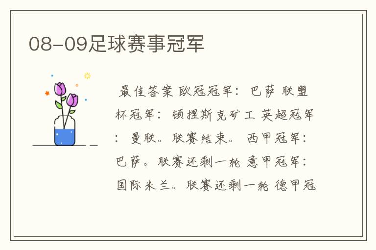 08-09足球赛事冠军