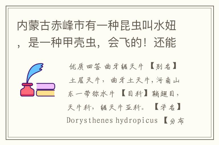 内蒙古赤峰市有一种昆虫叫水妞,是一种甲壳虫,会飞的!还能吃,它的