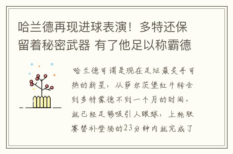 哈兰德再现进球表演!多特还保留着秘密武器 有了他足以称霸德甲