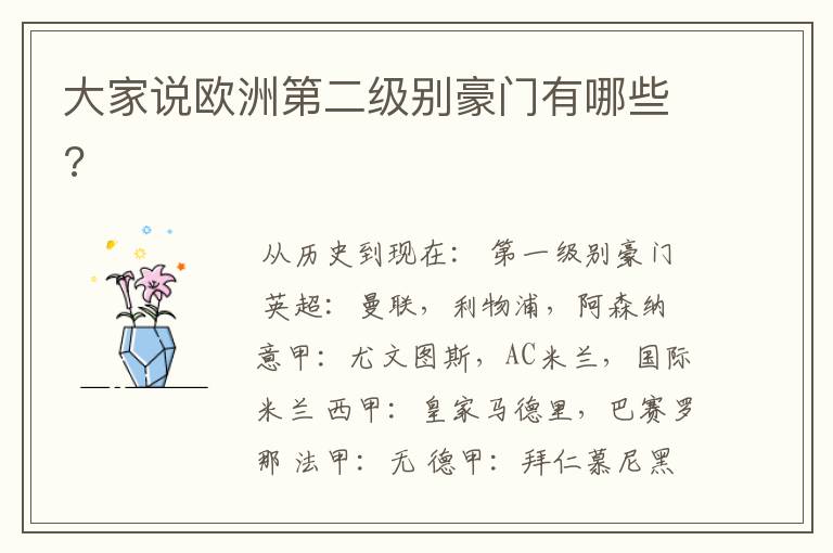 大家说欧洲第二级别豪门有哪些?