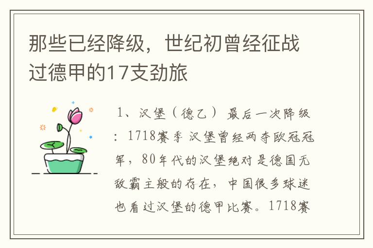 那些已经降级,世纪初曾经征战过德甲的17支劲旅