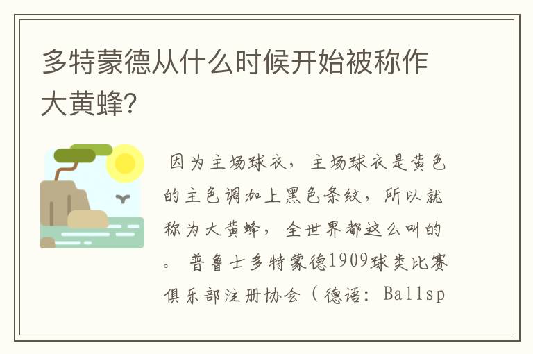 多特蒙德从什么时候开始被称作大黄蜂?