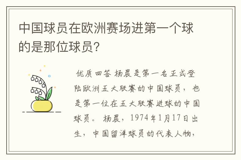 中国球员在欧洲赛场进第一个球的是那位球员?