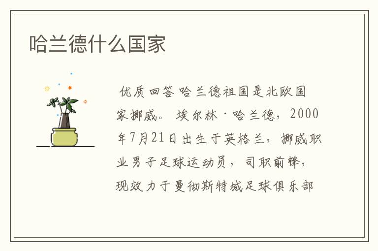 哈兰德什么国家