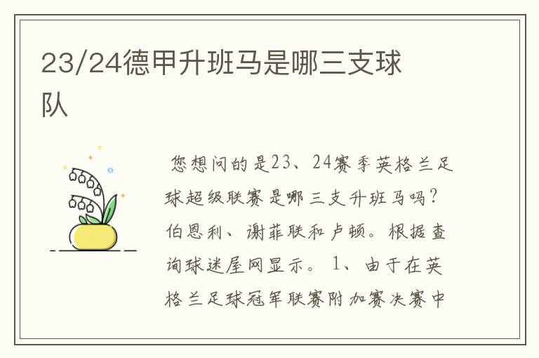 23/24德甲升班马是哪三支球队