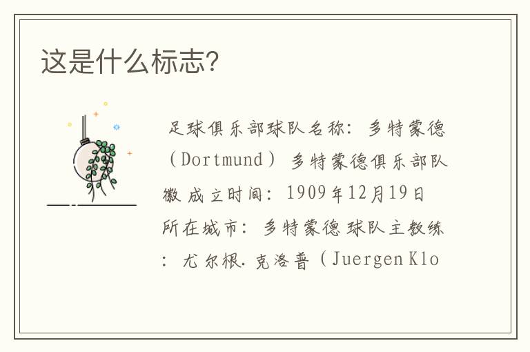 这是什么标志?
