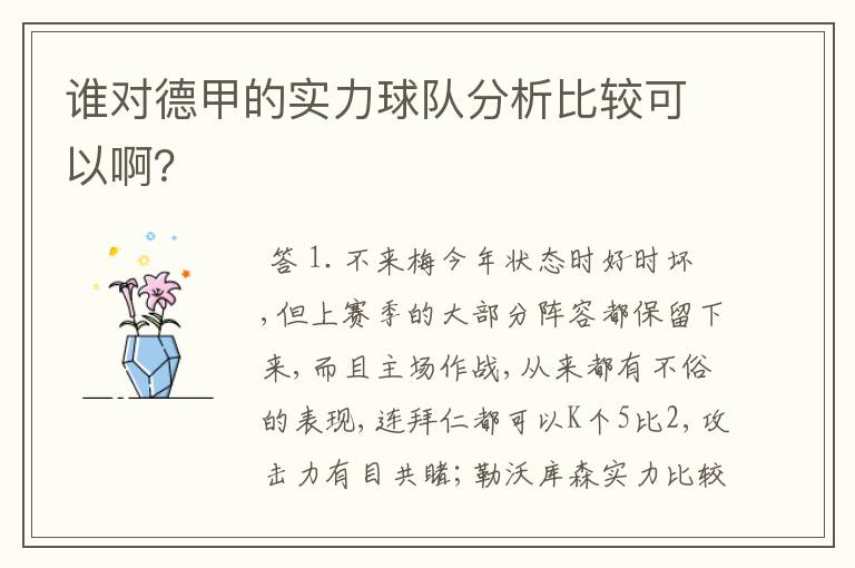 谁对德甲的实力球队分析比较可以啊?