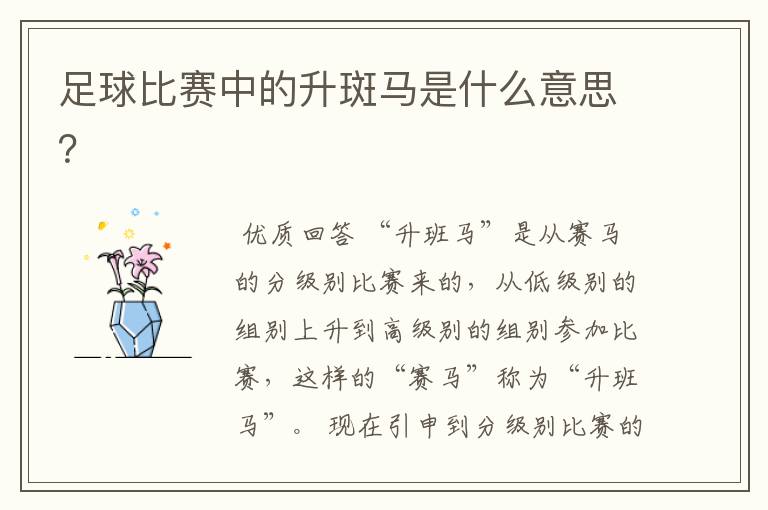 足球比赛中的升斑马是什么意思?