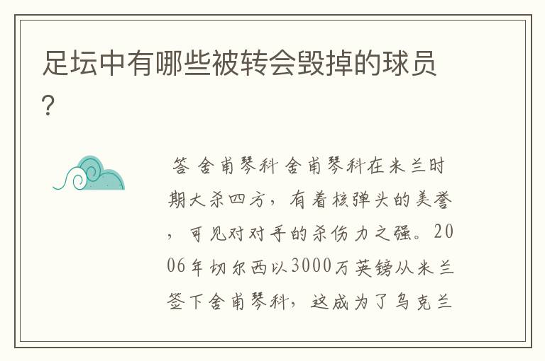 足坛中有哪些被转会毁掉的球员?