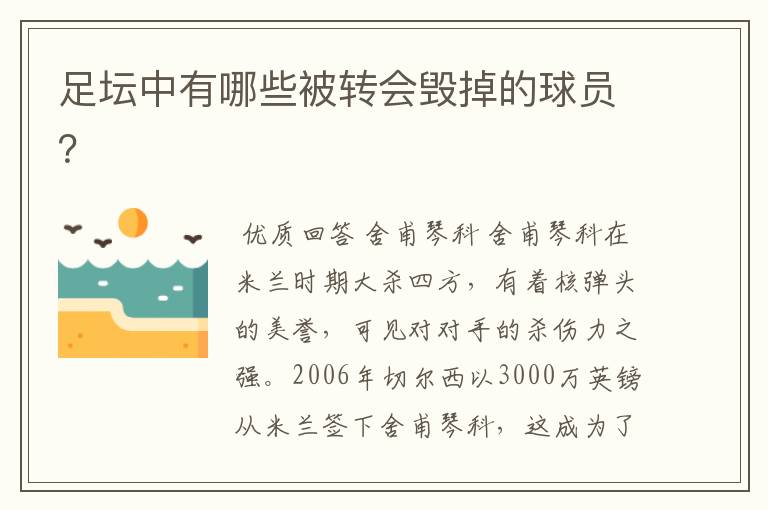 足坛中有哪些被转会毁掉的球员?