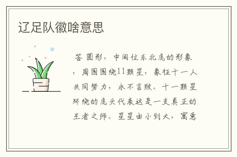 辽足队徽啥意思