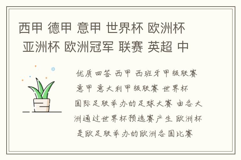 西甲 德甲 意甲 世界杯 欧洲杯 亚洲杯 欧洲冠军 联赛 英超 中超 分别是什么意思啊?