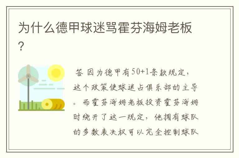 为什么德甲球迷骂霍芬海姆老板?