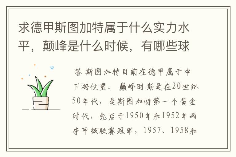求德甲斯图加特属于什么实力水平,颠峰是什么时候,有哪些球星和走出有哪些球星