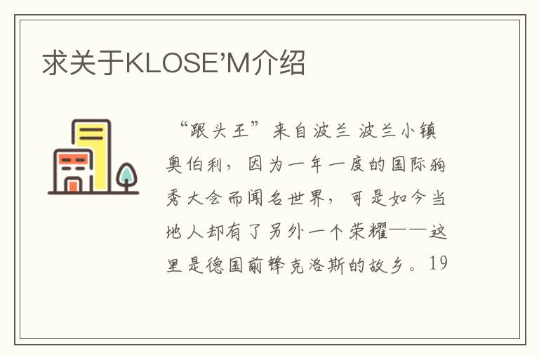 求关于KLOSE'M介绍