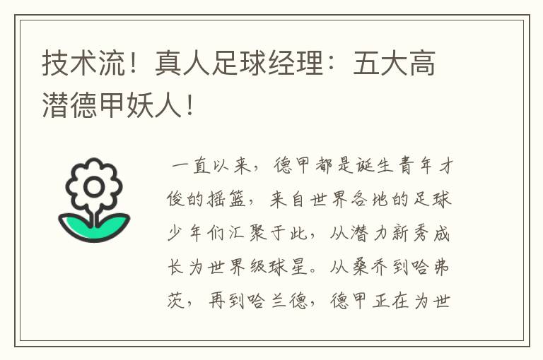 技术流!真人足球经理:五大高潜德甲妖人!
