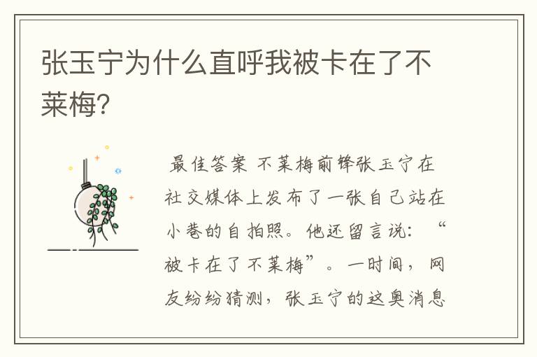 张玉宁为什么直呼我被卡在了不莱梅?