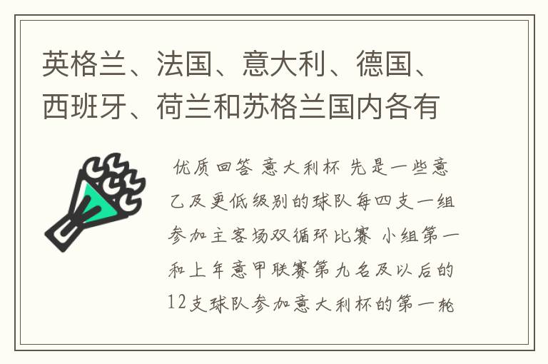 英格兰、法国、意大利、德国、西班牙、荷兰和苏格兰国内各有什么杯赛?