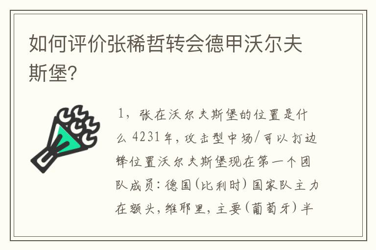 如何评价张稀哲转会德甲沃尔夫斯堡?