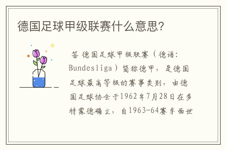 德国足球甲级联赛什么意思?