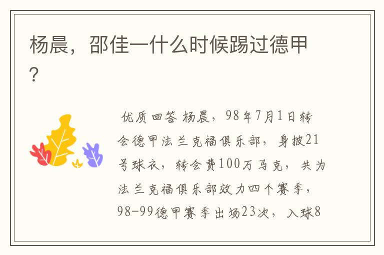 杨晨,邵佳一什么时候踢过德甲?