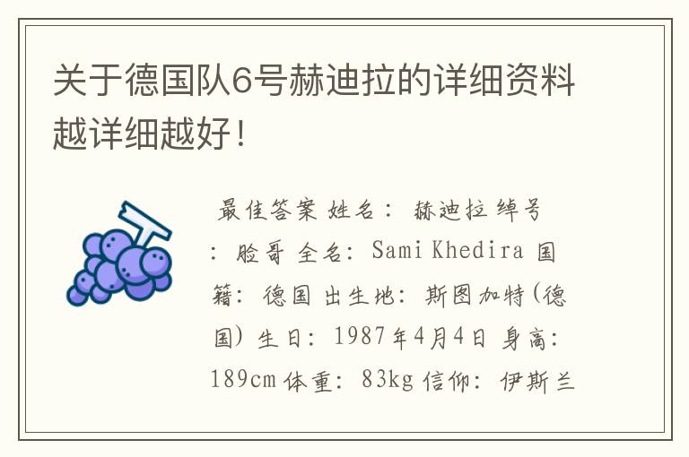 关于德国队6号赫迪拉的详细资料越详细越好!