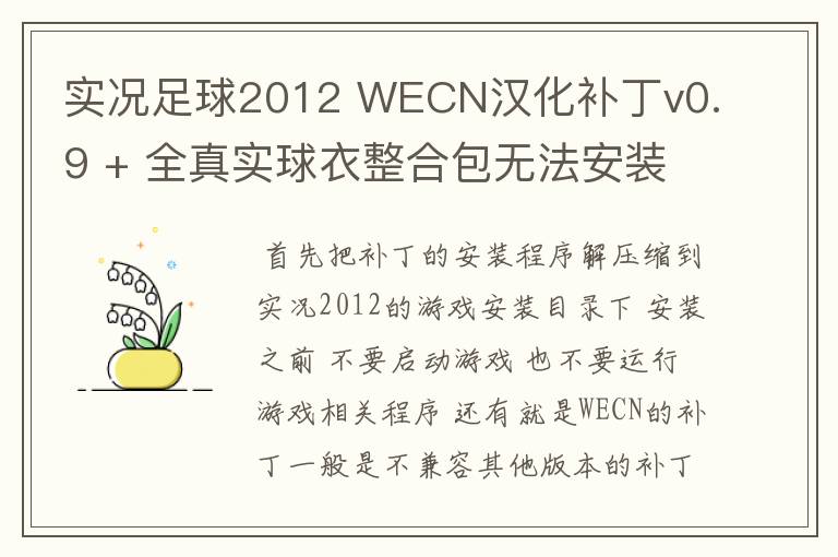 实况足球2012 WECN汉化补丁v0.9 + 全真实球衣整合包无法安装是怎么回事?