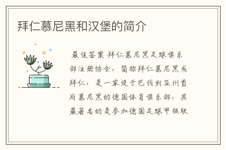 拜仁慕尼黑和汉堡的简介