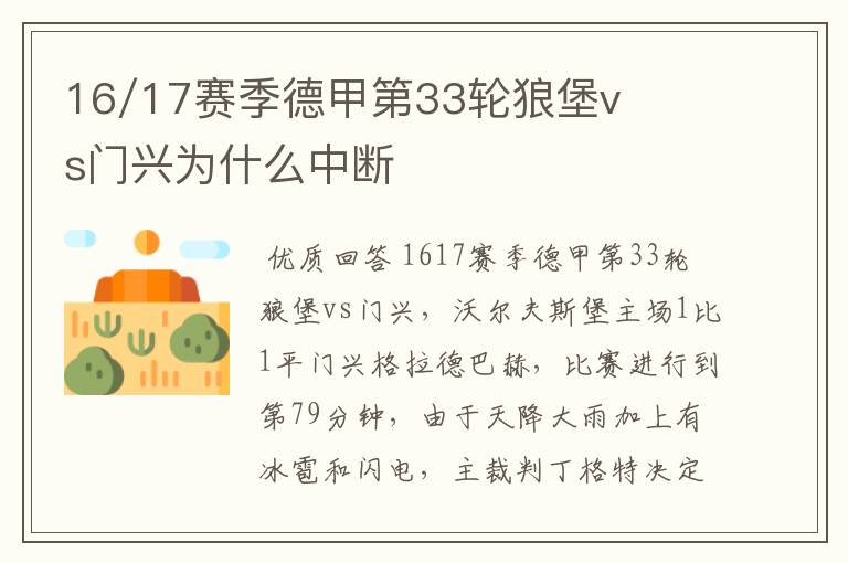 16/17赛季德甲第33轮狼堡vs门兴为什么中断