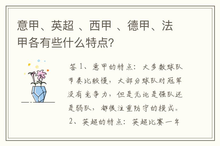 意甲、英超 、西甲 、德甲、法甲各有些什么特点?