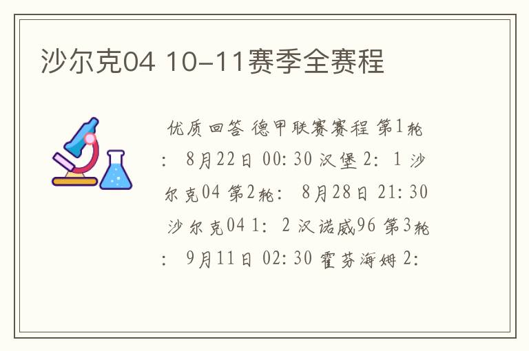 沙尔克04 10-11赛季全赛程