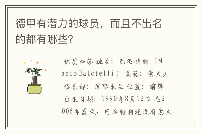 德甲有潜力的球员,而且不出名的都有哪些?