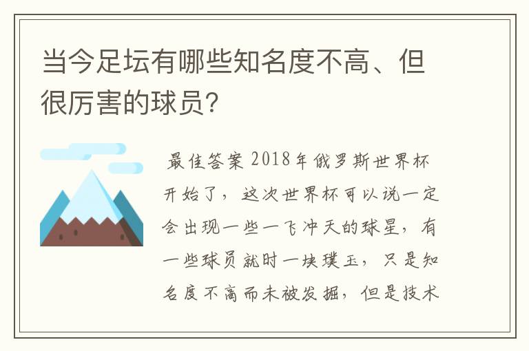 当今足坛有哪些知名度不高、但很厉害的球员?