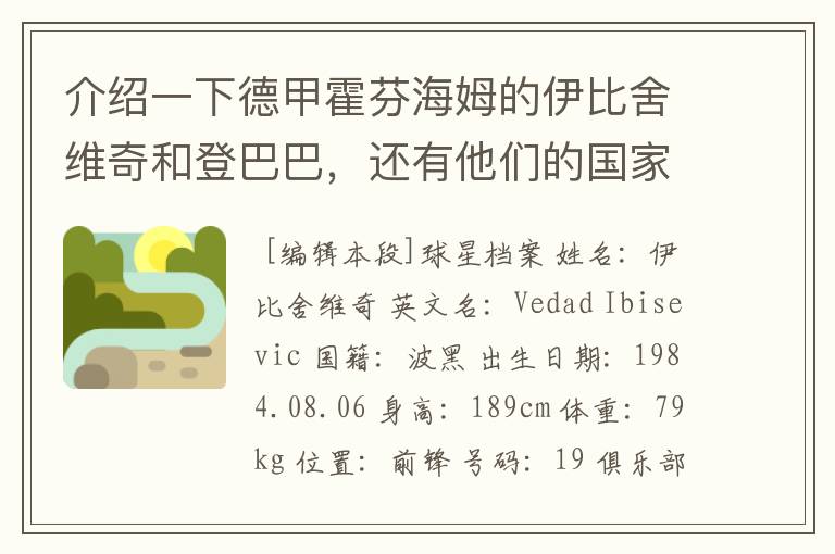 介绍一下德甲霍芬海姆的伊比舍维奇和登巴巴,还有他们的国家队履历