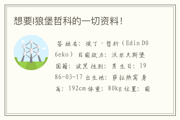 想要l狼堡哲科的一切资料!