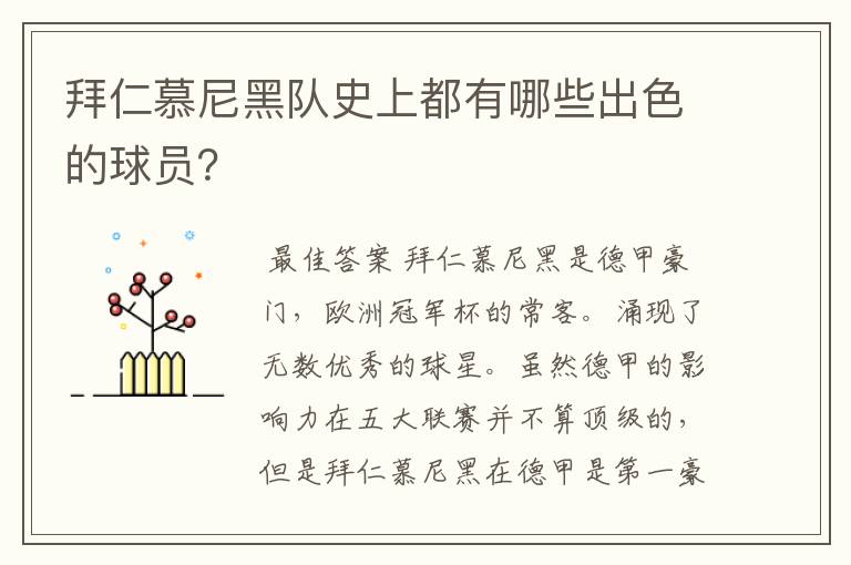 拜仁慕尼黑队史上都有哪些出色的球员?