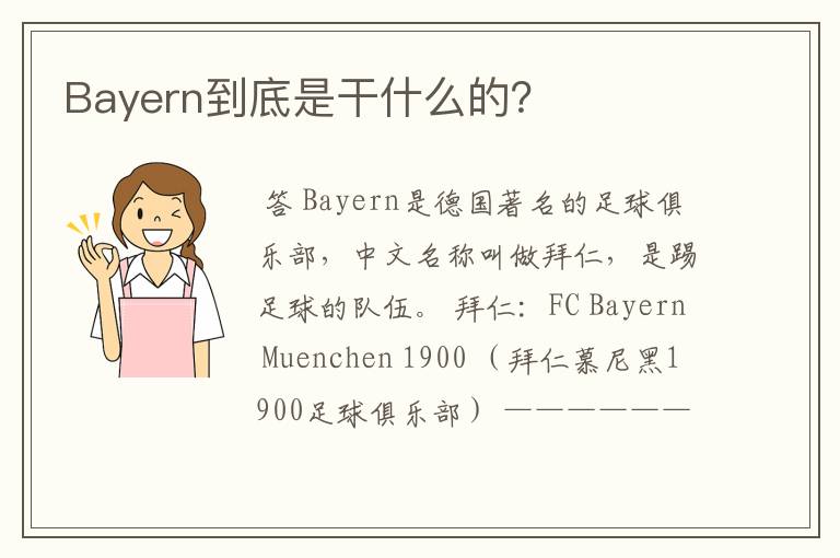 Bayern到底是干什么的?