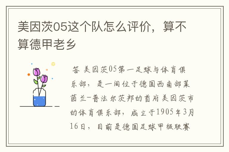 美因茨05这个队怎么评价,算不算德甲老乡