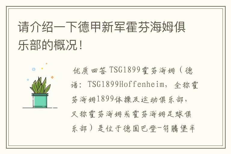 请介绍一下德甲新军霍芬海姆俱乐部的概况!