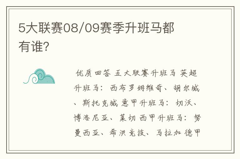 5大联赛08/09赛季升班马都有谁?