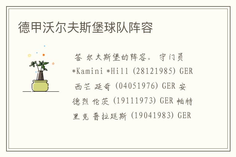 德甲沃尔夫斯堡球队阵容