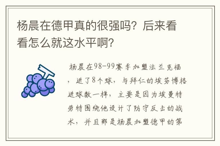 杨晨在德甲真的很强吗?后来看看怎么就这水平啊?