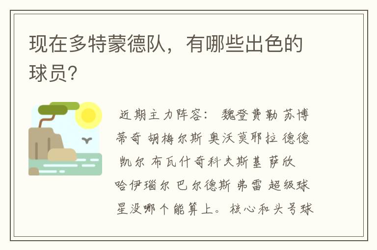 现在多特蒙德队,有哪些出色的球员?