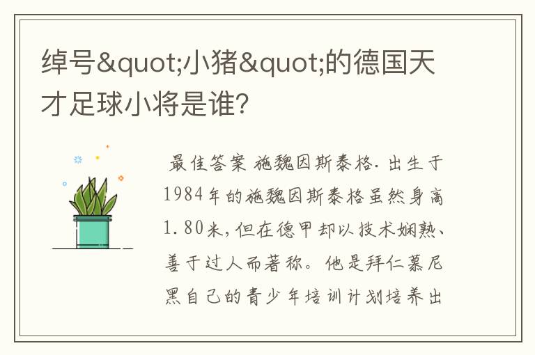 绰号"小猪"的德国天才足球小将是谁?