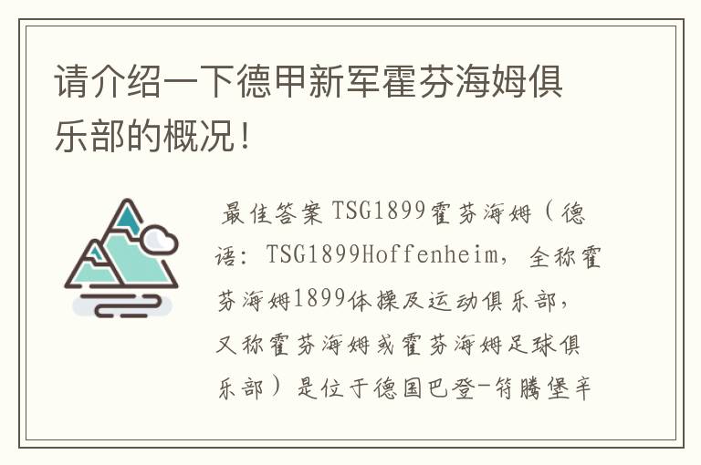请介绍一下德甲新军霍芬海姆俱乐部的概况!