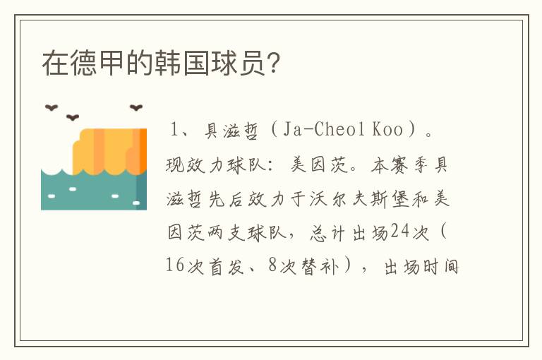 在德甲的韩国球员?